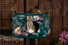 domek dla szczura