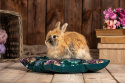 Poduszka dla królika