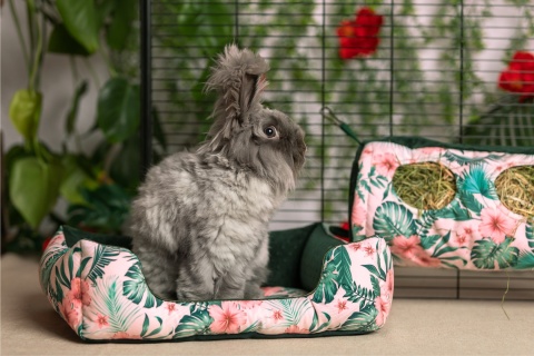 Paśnik tuba z zamkiem – kolekcja Kwiat Hibiskusa dla świnek morskich, królików, szynszyli, koszatniczek - paśnik materiałowy Paśnik tuba z zamkiem – kolekcja Kwiat Hibiskusa dla świnek morskich, królików, szynszyli, koszatniczek - paśnik materiałowy