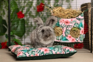 Quilted pillow for guinea pigs, rabbits, ferrets and rodents