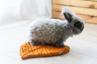 Minky Beech Leaf Cushion Mat for Rabbits and Rodents