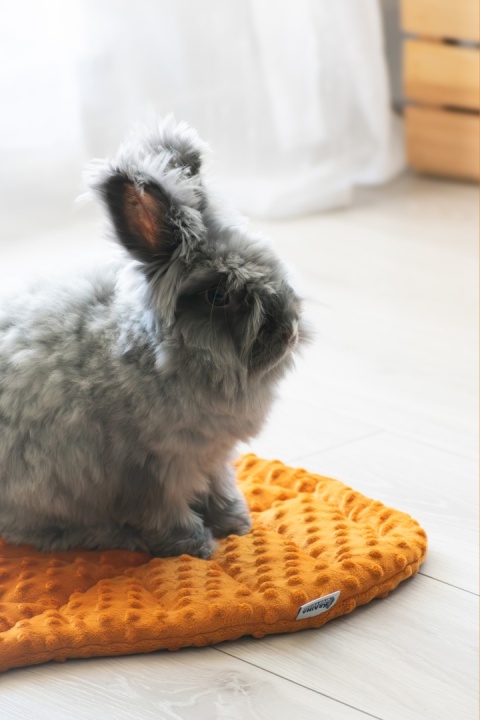 Minky Beech Leaf Cushion Mat for Rabbits and Rodents
