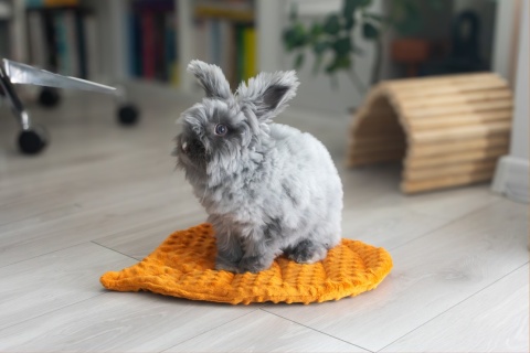 Minky Beech Leaf Cushion Mat for Rabbits and Rodents
