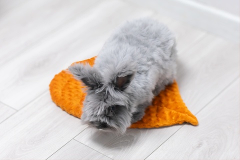 Minky Beech Leaf Cushion Mat for Rabbits and Rodents