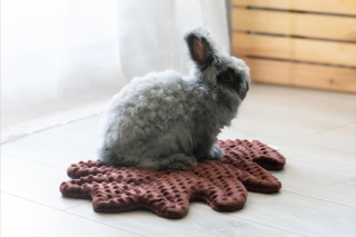 Minky Oak Leaf Cushion Mat for Rabbits and Rodents