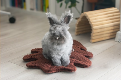 Minky Oak Leaf Cushion Mat for Rabbits and Rodents
