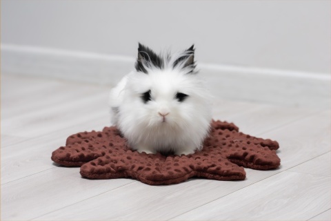 Minky Oak Leaf Cushion Mat for Rabbits and Rodents