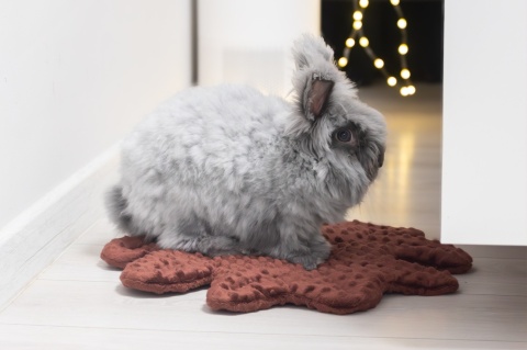 Minky Oak Leaf Cushion Mat for Rabbits and Rodents
