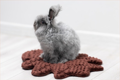 Minky Oak Leaf Cushion Mat for Rabbits and Rodents