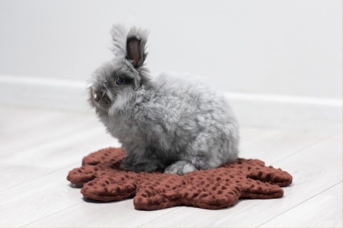Minky Oak Leaf Cushion Mat for Rabbits and Rodents