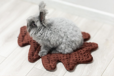 Minky Oak Leaf Cushion Mat for Rabbits and Rodents