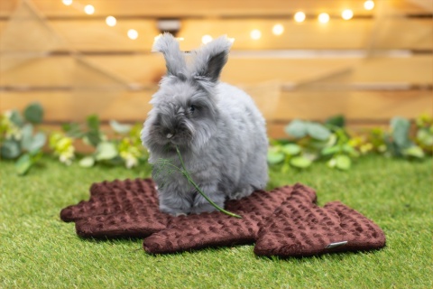 Minky Oak Leaf Cushion Mat for Rabbits and Rodents