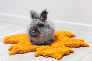 Minky Leaf Cushion Mat for Rabbits and Rodents