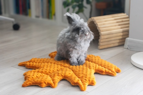 Minky Leaf Cushion Mat for Rabbits and Rodents