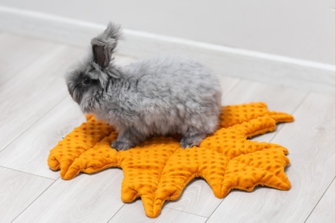 Minky Leaf Cushion Mat for Rabbits and Rodents
