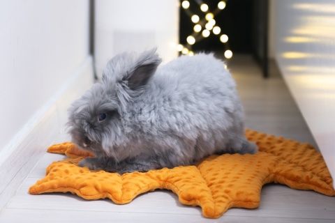 Minky Leaf Cushion Mat for Rabbits and Rodents