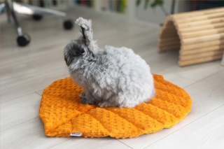 Minky Linden Leaf Cushion Mat for Rabbits and Rodents
