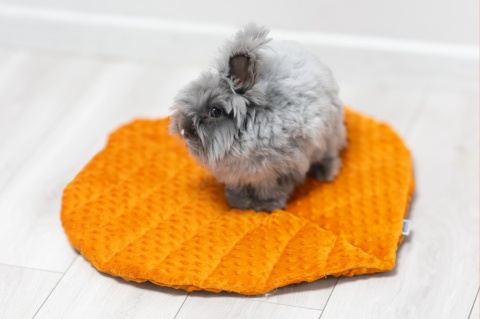Minky Linden Leaf Cushion Mat for Rabbits and Rodents