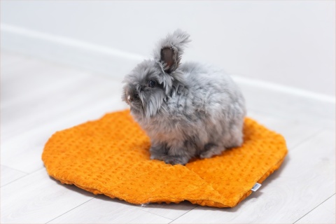 Minky Linden Leaf Cushion Mat for Rabbits and Rodents