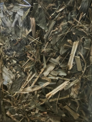 Samfarm Kukurydza ziele 150g – suszone zioła dla królików i gryzoni