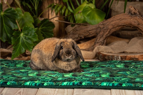 SALE cage mat 122x122cm printed+ quilted) SALE cage mat 122x122cm printed+ quilted)