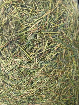 Wyrwisusz Sianko Staropolskie 1000g – naturalne siano z polskich łąk