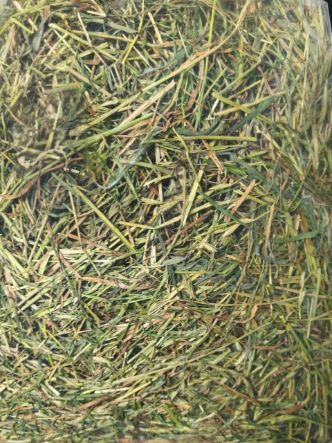 Wyrwisusz Staropolskie Hay 1000g – natural hay from Polish meadows