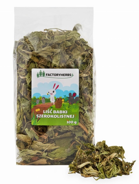 Factory Herbs Liście babki szerokolistnej 300g - babka szerokolistna