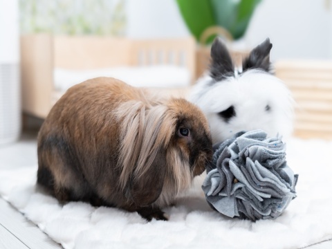 Kraina Tuptusia Fleece Snuffle Ball – Treat Toy for Rabbits, Guinea Pigs & Rodents