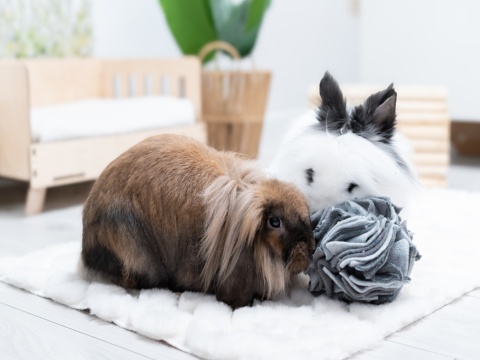 Kraina Tuptusia Fleece Snuffle Ball – Treat Toy for Rabbits, Guinea Pigs & Rodents