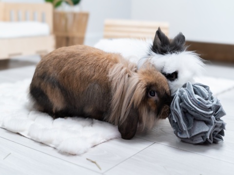 Kraina Tuptusia Fleece Snuffle Ball – Treat Toy for Rabbits, Guinea Pigs & Rodents
