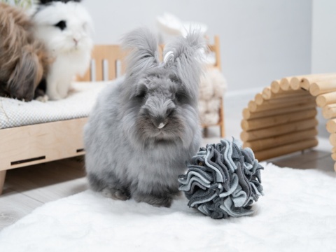 Kraina Tuptusia Fleece Snuffle Ball – Treat Toy for Rabbits, Guinea Pigs & Rodents