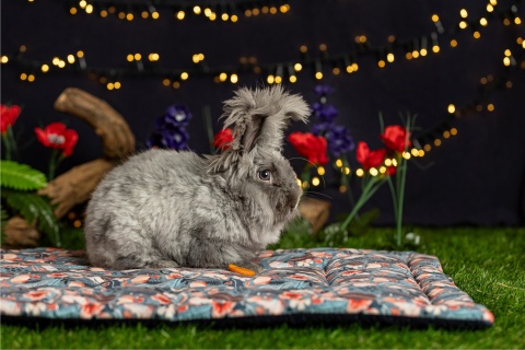 SALE Cage mat 113x73cm printed + waterproof