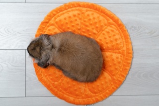 Orange Cushion 40x40 cm – soft bed for rabbits and rodents