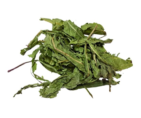 Samfarm mniszek lekarski 1kg