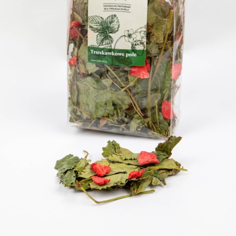 Tivo Tivo Truskawkowe Pole – Liść Truskawki 100g