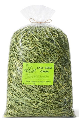 Wyrwisusz – Całe ziele owsa 500 g