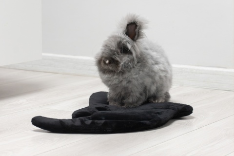 Set of 2 — Ghost Minky Cushion/Mats (White + Black) for Rabbits & Rodents, 50 × 35 cm – Halloween