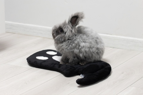 Set of 2 — Ghost Minky Cushion/Mats (White + Black) for Rabbits & Rodents, 50 × 35 cm – Halloween
