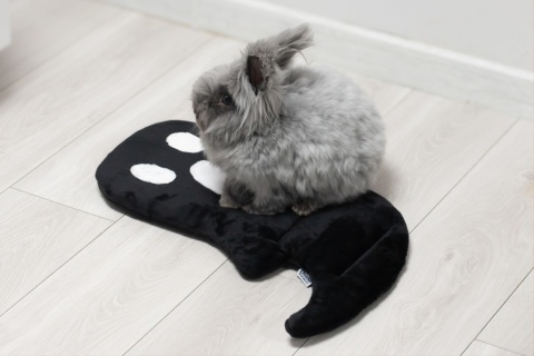 Set of 2 — Ghost Minky Cushion/Mats (White + Black) for Rabbits & Rodents, 50 × 35 cm – Halloween