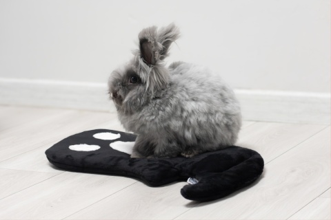 Set of 2 — Ghost Minky Cushion/Mats (White + Black) for Rabbits & Rodents, 50 × 35 cm – Halloween