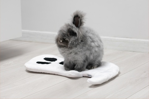 Set of 2 — Ghost Minky Cushion/Mats (White + Black) for Rabbits & Rodents, 50 × 35 cm – Halloween