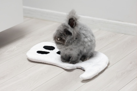 Set of 2 — Ghost Minky Cushion/Mats (White + Black) for Rabbits & Rodents, 50 × 35 cm – Halloween