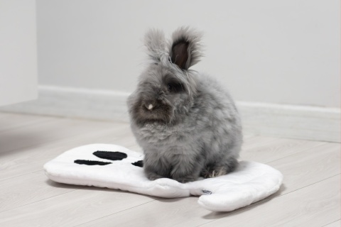 Set of 2 — Ghost Minky Cushion/Mats (White + Black) for Rabbits & Rodents, 50 × 35 cm – Halloween