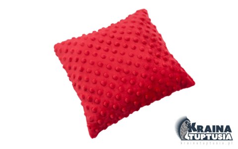 Kraina Tuptusia poduszka do legowiska L różne kolory Kraina Tuptusia poduszka do legowiska L różne kolory