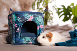 Cube house for guinea pigs pygmy hedgehogs rats
