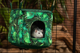 Cube house for rats, chinchillas, pygmy hedgehogs, guinea pigs