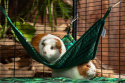 Triangle hammock for rats, chinchillas, guinea pigs, degus - Paradise Garden collection