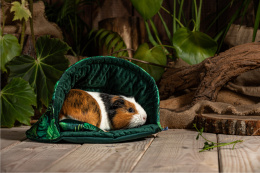 Shell bed for rabbits, guinea pigs, pygmy hedgehogs