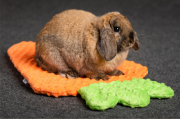 Carrot pillow bed for rabbit, guinea pig